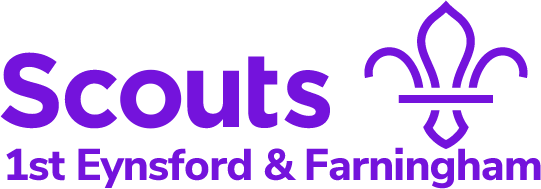 1steandfscoutgroup.org.uk